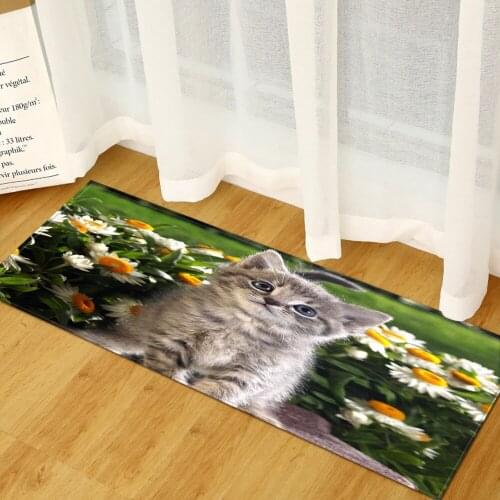3D Animal Pattern Mats for Bedroom Kitchen Carpet Washable Door Mat Entrance Hallway Living Room Floor Rug Non Slip Welcome Rugs