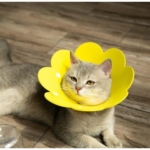Sun Flower Shape Cat Puppy Neck Protective Circle Collar Anti Bite Anti Grasping Anti Licking Cat Neck Elizabethan Cute Collar