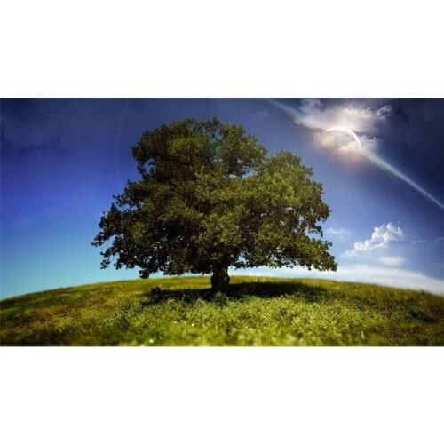 Full Round drill 5D DIY Diamond embroidery Landscape Life of Tree Diamond Painting Cross Stitch Rhinestone Mosaic decoration