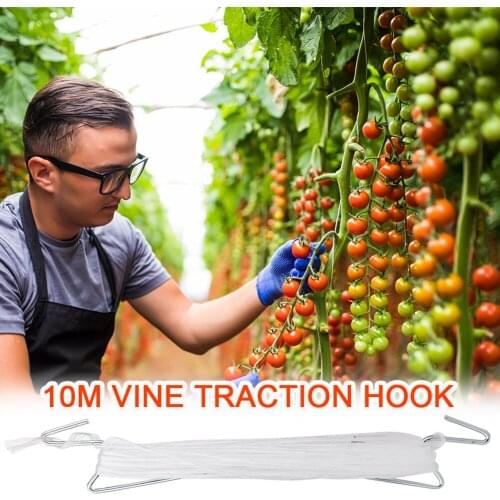 Tomato Support J Hook Fruit Tomato Plant Holder Binder Vegetables Clamp tools Anti-crush Hooks greenhouses Garden Supplies