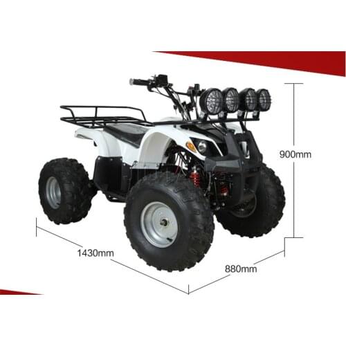 New Electric Beach Buggy All Terrain vehicle