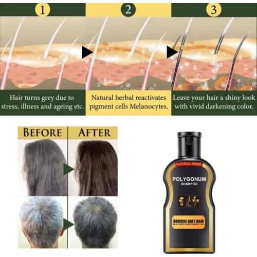 30ml Ginger Coloring Hair Shampoo Permanent Black Color Anti Gray Hair Treatment White Removal Natural Herbal Black Hair Shampoo