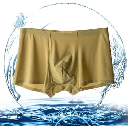 3pcs/Lot Breathable Solid Soft pouch Panties mens underwear intimate man designer New ice shorts men male underpants