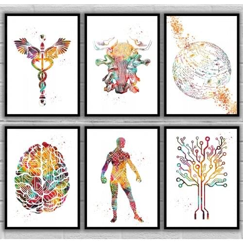 Caduceus Cervical Ligaments Circuit Ball Circuit Board Man Circuit Board Tree Brain Anatomical Medical And Science Poster
