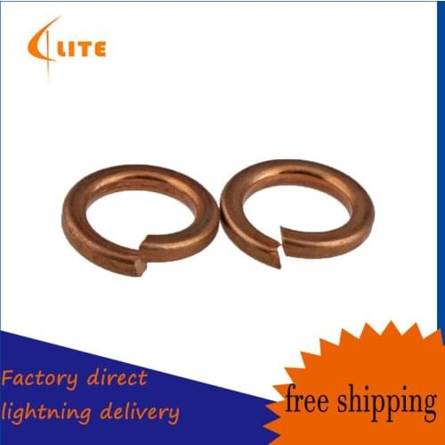 M3 M3 M5 M6 M8 M10 M12 Copper Pad Spring Washer Bronze Spring Washer Swass (GB93 20Pcs