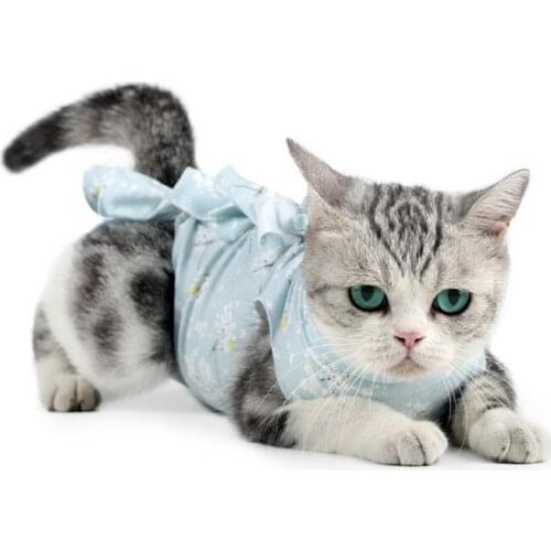 OCARDIAN Products For Cats