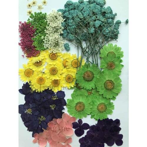 60pcs Assorted Dried Pressed Flowers Plant Herbarium For Jewelry Photo Frame Phone Case Bookmark Craft Making Mix-1