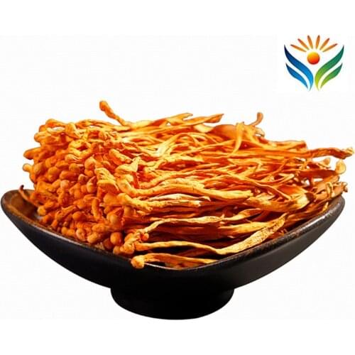 Cordyceps Militaris/Chong Cao Hua/North Cordyceps Herbal Cordyceps Flower