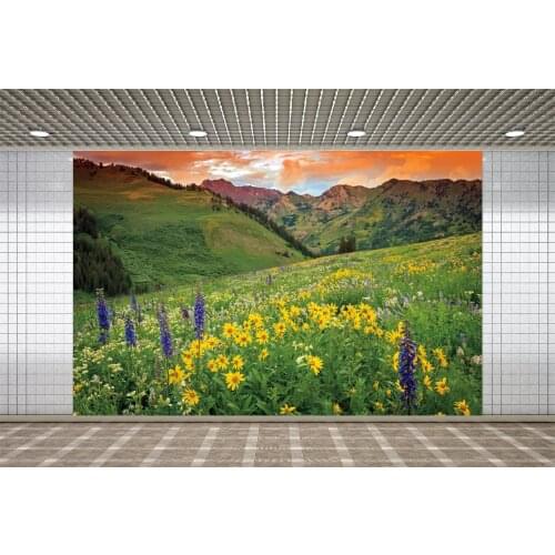 Lyavshi Natural Scenery Backdrop Daisy Lavender Flowers at Sunset Party Photo Studio Decoration Props Photography Background