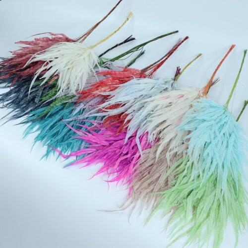 Natural Fresh Preserved Flower Eternal Dried Arachniodes Leaf Party Wedding Decoration Home Fiddlehead Ferns Real Plant Decor