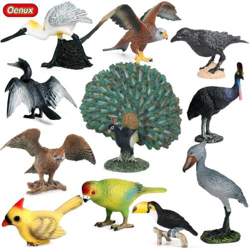 Oenux Simulation Bird Parrot Eagle Crow Peacock Vulture Animals Model Action Figures Miniature Figurine Cake Toppers Kids Toy