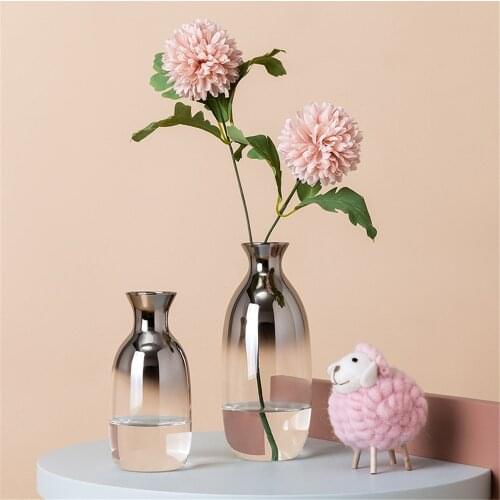 Simple Gradient Vase Interior Decoration Creative Transparent Vase Desktop Ornaments Dried Flowers Living Room Table Decoration