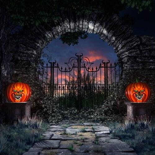 VinylBDS Pumpkin Photography Backdrop Brick Floor Backdrop Photo Background Iron Gate Halloween Photography Background