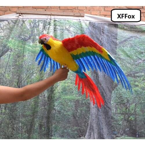 Huge real life wings parrot model foam&feather big simulation colourful parrot bird gift about 60x80cm xf0276