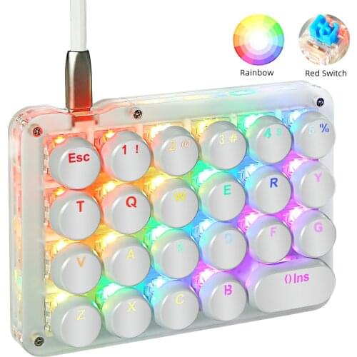 23 Keys Macro Mechanical Keyboard Mini One-Handed Mechanical Gaming Keypad RGB LED Backlit Blue Switches with Round Keycaps