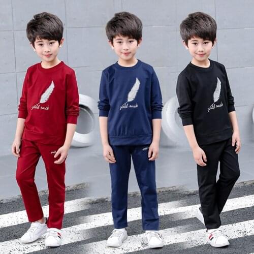 2020 Fall New Boys Fashion Clothing Sets Male Kids Feather Printing Sports Suit Tops + Pants Childrens Sportwear Tracksuit X157