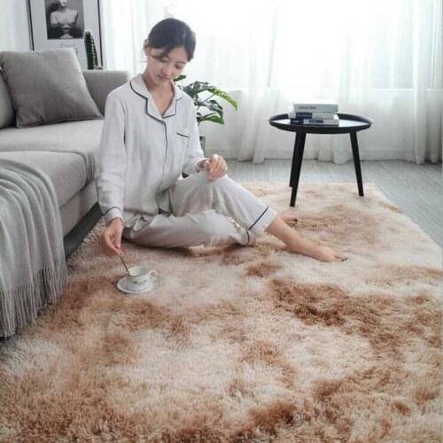 Modern Plsh Living Room Fluffy Carpet Saloon Foyer Shaggy Warm Sleeping Mats Baby Room Breathable Area Rugs Home Decor