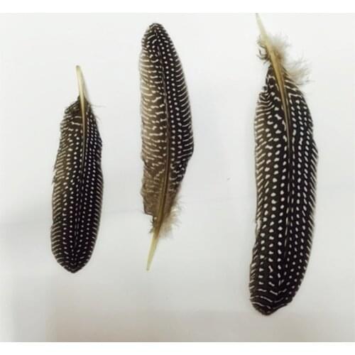 13-16Cm Natural Black White Guinea Fowl Wing Feathers Guinea Hen Wing Quills DIY Hair Accessories Vintage Material 100Pcs/Lot
