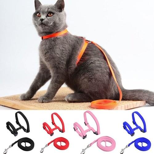 Pet Cat Harness & Leash Adjustable Cat Harness Breakaway Nylon Strap Collar with Leash Leads for Kitten Puppy Small Dogs Walking