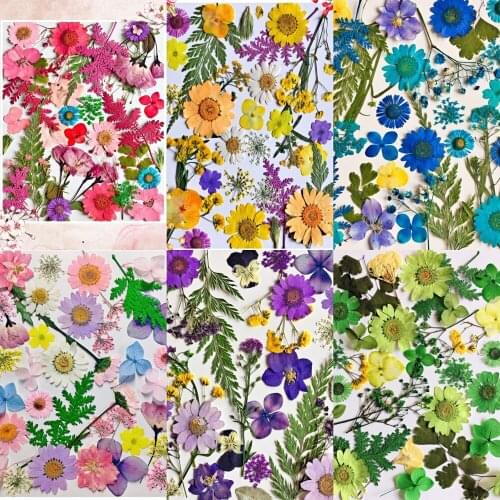 1Set 30pcs Mixed Pressed Dried Leaves Flower Herbarium For Bookmark Prop Jewelry Face Make Up Invitation Card Phone Case DIY