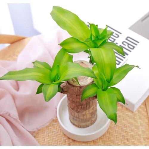 Home Decor Artificial Plants Home Decoration Accessories Living Room Decoration Green Ornaments In Bedroom And Living Room