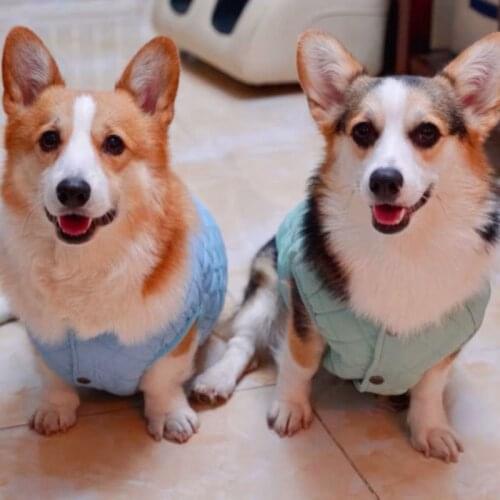 Winter Vest for Dog Pets Clothes Jackets Warm Cotton Vest Coat Small Dog Coat 2021 Fashion Cats Clothing Coats Pet Clothing Dogs