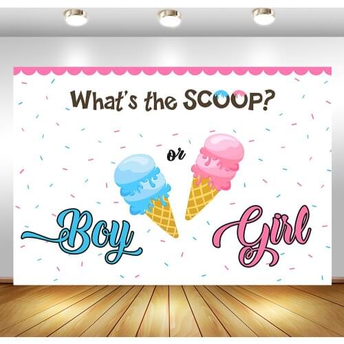 Ice Cream Theme Gender Rreveal Backdrop Boy or Girl Gender Surprise Photography Background Baby Shower Photo Background