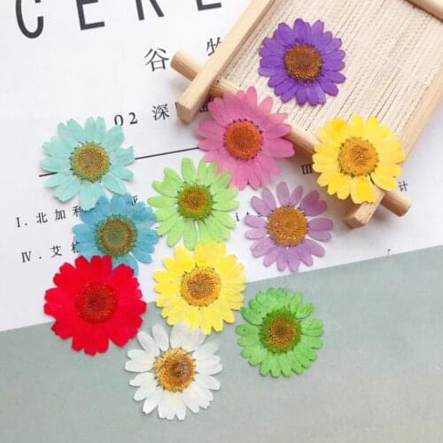 120pcs 2.5-3cm Pressed Dried Chrysanthemum Paludosum Flower For Jewelry Phone Case Lampshade Candle Bookmark Postcard Craft DIY