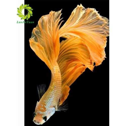 Diy Diamond Painting Fish Full Round Diamond Embroidery Animal Needlework 3d Drill Mosaic Paste Crafts