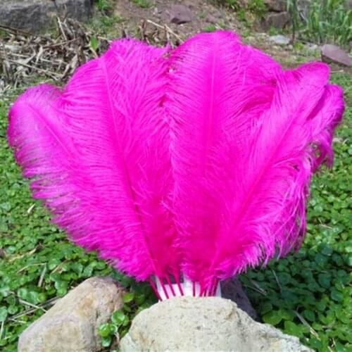 New Best-selling products 50 PCS Mei red 55-60 cm/22-24 inches ostrich feathers Wedding Birthday Christmas Decorations