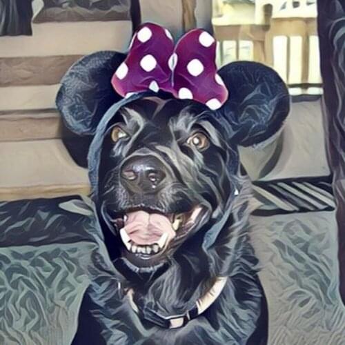 Animal Dog DIY Embroidery Cross Stitch Needlework Craft Printed Canvas Cotton Thread Home Decoration On Sale For Living Room