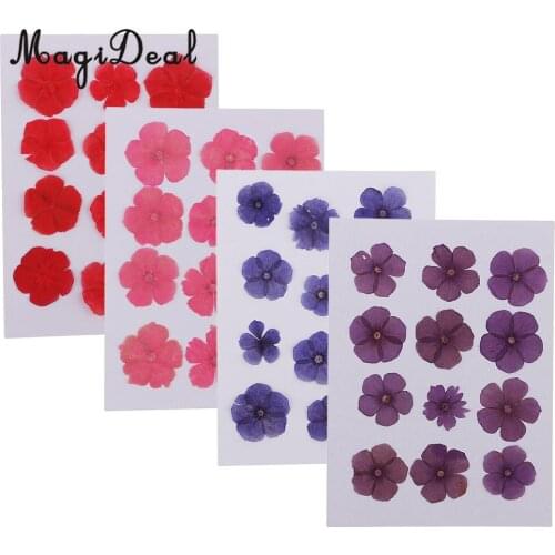 12 Pieces Natural Dried Flowers Real Flower Amaranthus for Kids Craft Card Making DIY Pendants Charms Jewelry