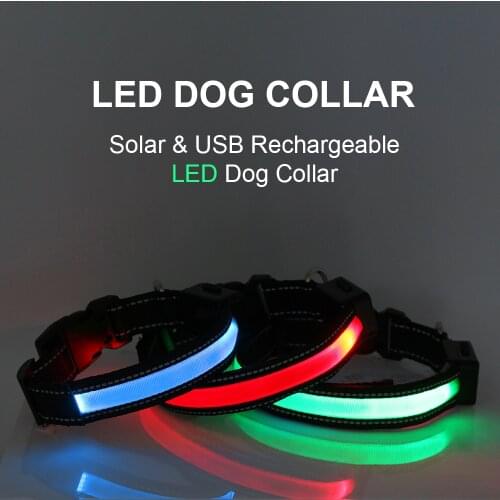 Petrainer Collars
