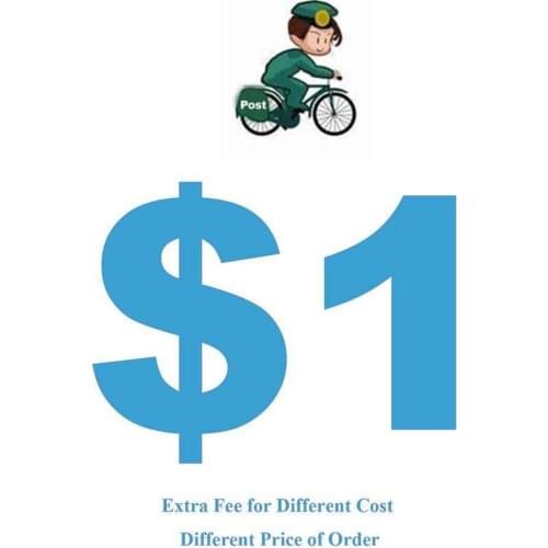 Extra Fee / Shipping cost /Cost just for the balance of your order / Pay back the refund