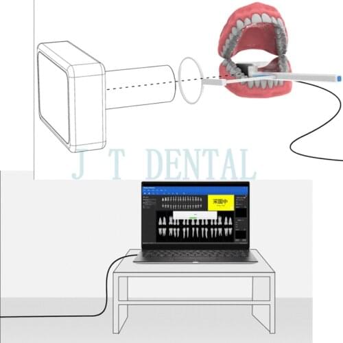 SOCODENTAL  China