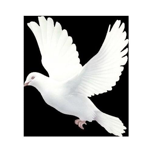 Lron on Lovely Peace dove Heat Transfer Vinyl Stickers Patches for Girl Clothing DIY T-shirt Applique on Clothes Thermal Press