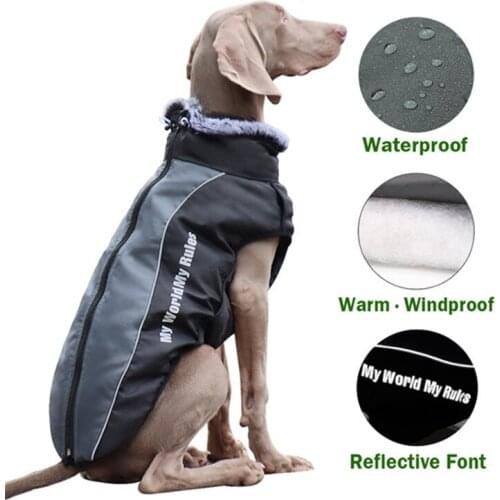 New Dog Clothes Winter Warm Dog Clothing Reflective Font Clothes Waterproof Vest Pet Cat Jacket for Small Medium Big Dogs Chihua