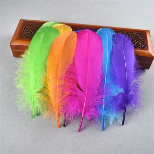WHxmsh Decorative Feathers