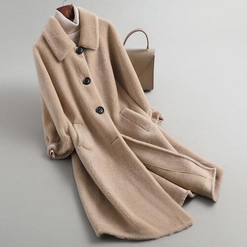 Women 2021 Autumn Winter Elegant Faux Fur Long Coat Female Casual Warm Plush Overcoat Ladies Casual Chic Fake Fur Outwear C370