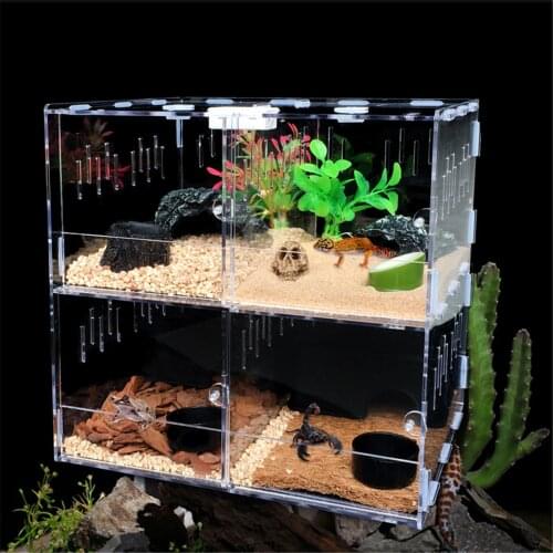 Pet Reptile Tank Acrylic Terrarium 4 Grids Insect Spiders Lizard Breeding Box Tortoise Snakes House Cage Reptiles Accessories