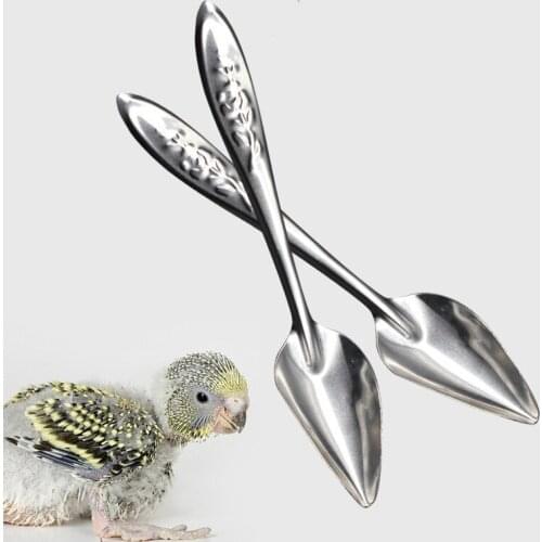 Parrot Milk Powder Special Stainless Steel Metal Spoon Hand Feeding Spoons Cockatiel Bird Spoon 4pcs/lots