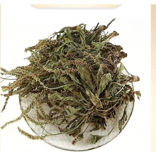 High-quality pure natural plantain, che qian cao, heat-clearing and diuretic, promoting metabolism, free shipping