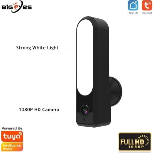 Tuya 1080P WiFi Floodlight Camera Support Alexa and Google TUYA Smart Life WiFi Spotlights Camera with Two-Way Intercom Function