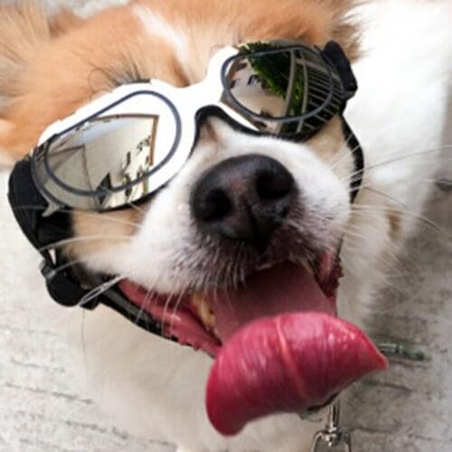 A 1pcs Cute Pet Dog Glasses Cat Glasses Pet Products Dog UV Sunglasses Pet Accessoires foldable Ski goggles