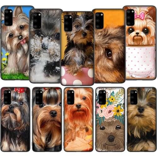T197 Yorkshire Terrier Dog Case for Samsung A01 A10 A11 A20 A20E A21 A30 A40 A41 A50 A51 A60 A70 A71 A81 A91 M10 M20 M30
