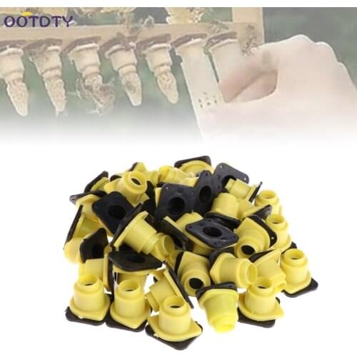Beekeeping Tools Bee Queen King Cage Case 50 Pcs Anti Bite Accessories Equipment