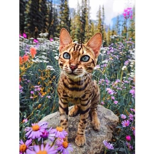 5D DIY Diamond Mosaic Cat Diamond Painting Animal Rhinestones Full Square Diamond Embroidery Kit Icon Home Decoration Gift Sale