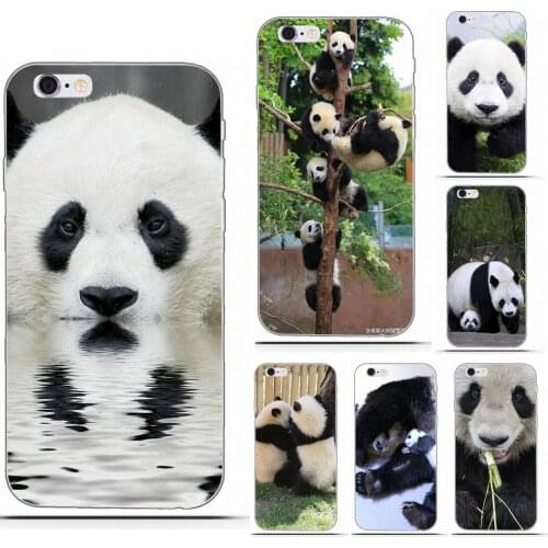 Wexoeq Giant Panda Soft TPU Case For Huawei G8 Honor 5C 5X 6 6X 7 8 9 Y5II Mate 9 P7 P8 P9 P10 P20 Lite Plus 2017