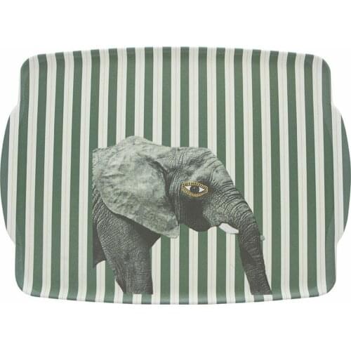 Porland Trays For Pots