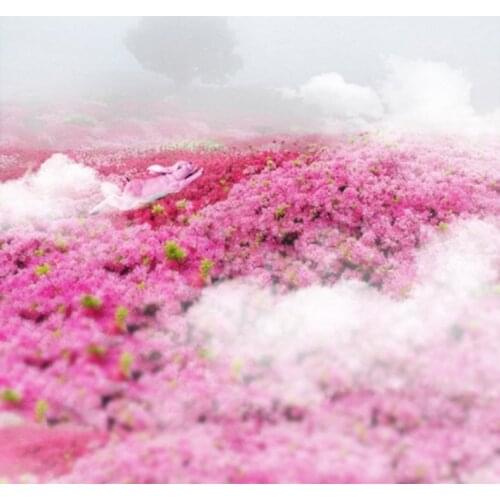 5x7ft Pikn Flowers Rabbit Photography Backdrops Photo Props Studio Background